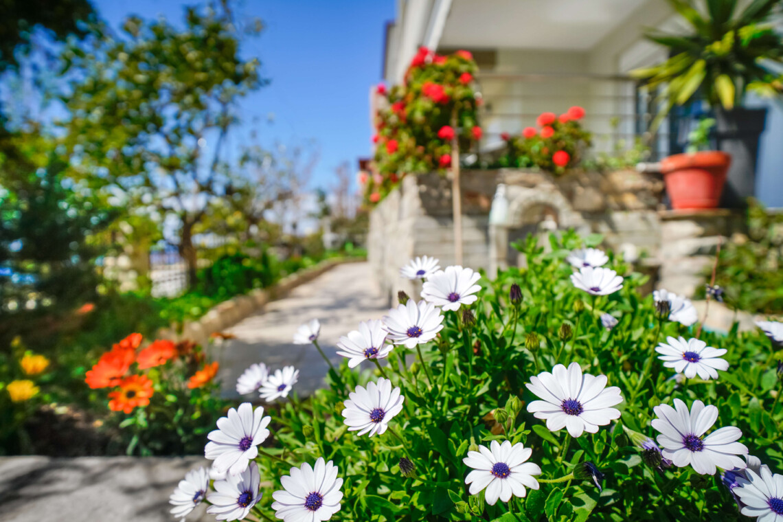 BluePearlApartment Exterior